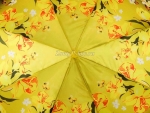 Зонт  женский Zicco, арт.2240-11_product